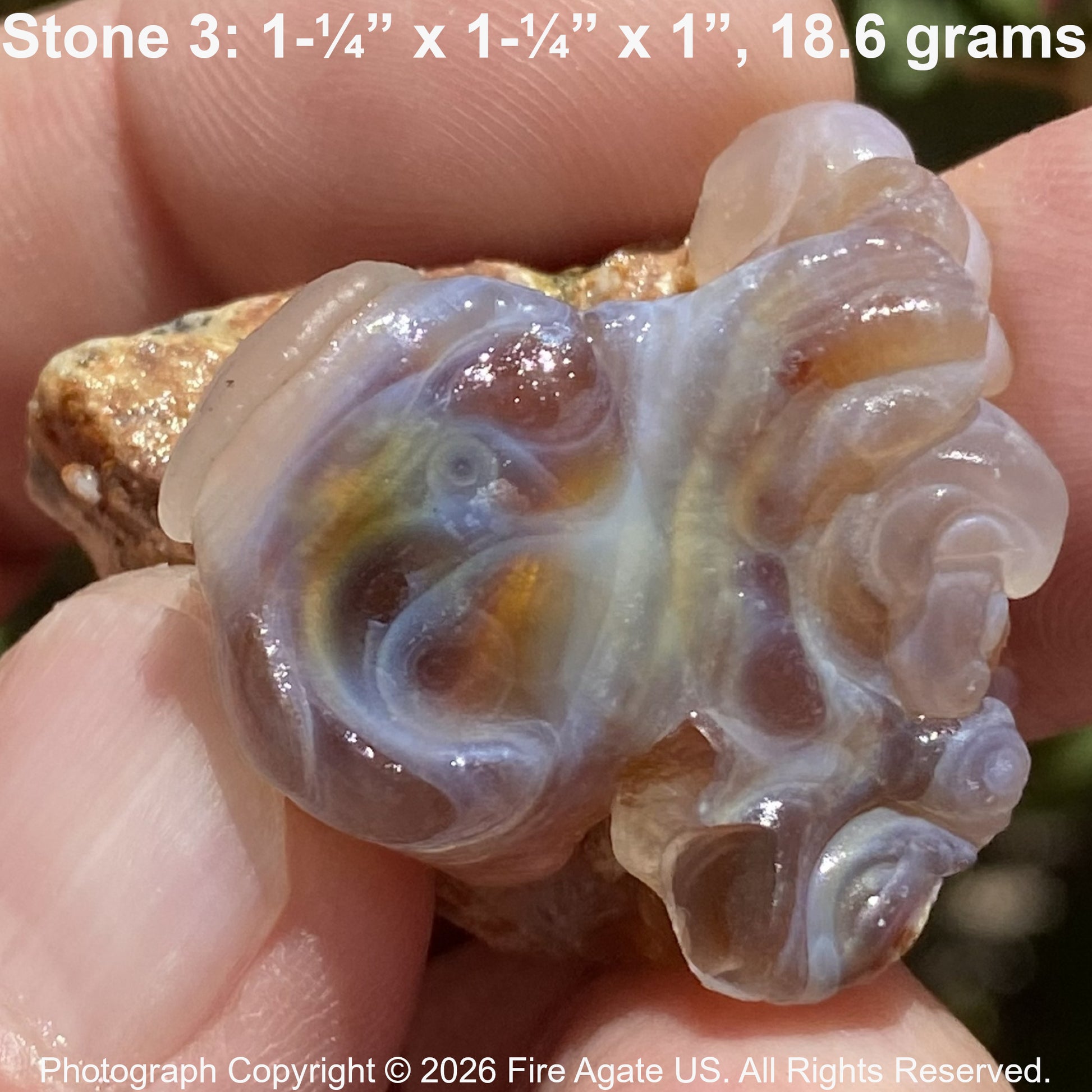 Close-up of an uncut Fire Agate stone held between fingers, with dimensions and weight displayed.