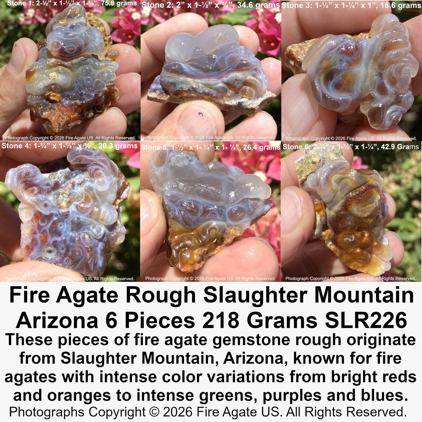 Collage of fire agate rough stones from Slaughter Mountain, Arizona with text detailing the stone's origin and properties.