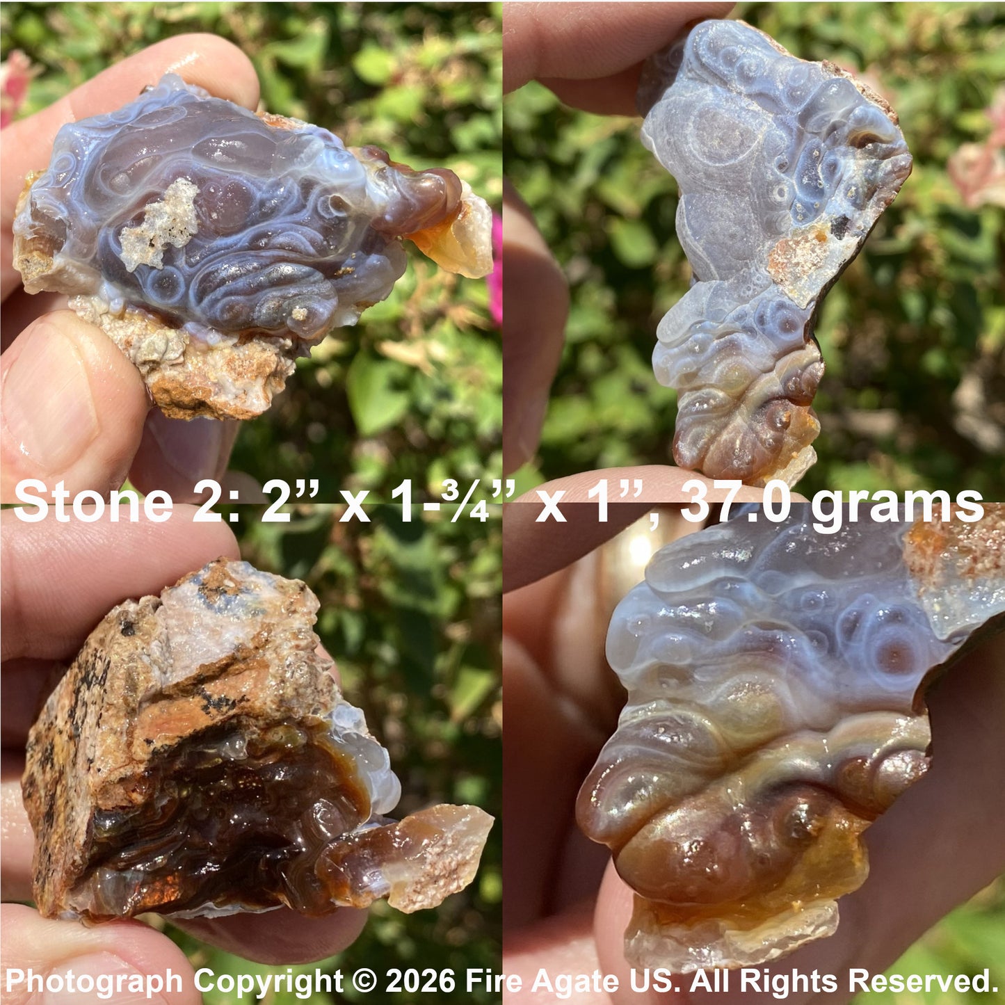 A four panel close up showing a hand holding a raw fire agate stone specimen outdoors. The stone has swirling bands of translucent lavender-blue, smoky gray, amber brown, and dark brown, with rough crystalline texture.