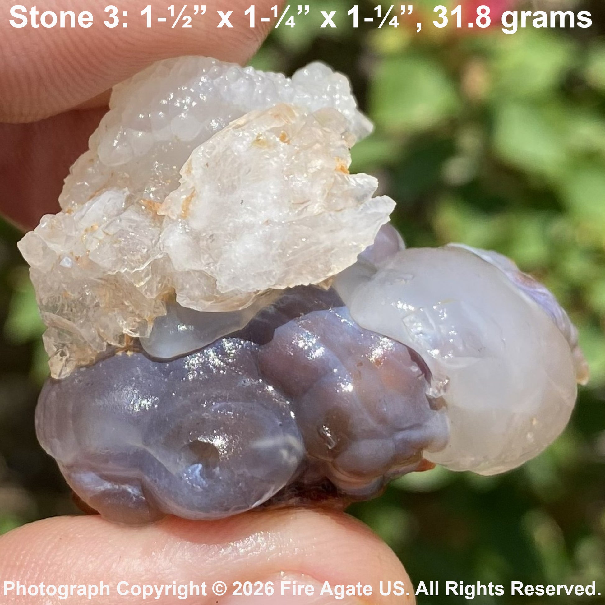 A hand holds a raw fire agate stone specimen labeled 'Stone 3: 1-1/2" x 1-1/4" x 1-1/4", 31.8 grams' against a blurred green natural background.