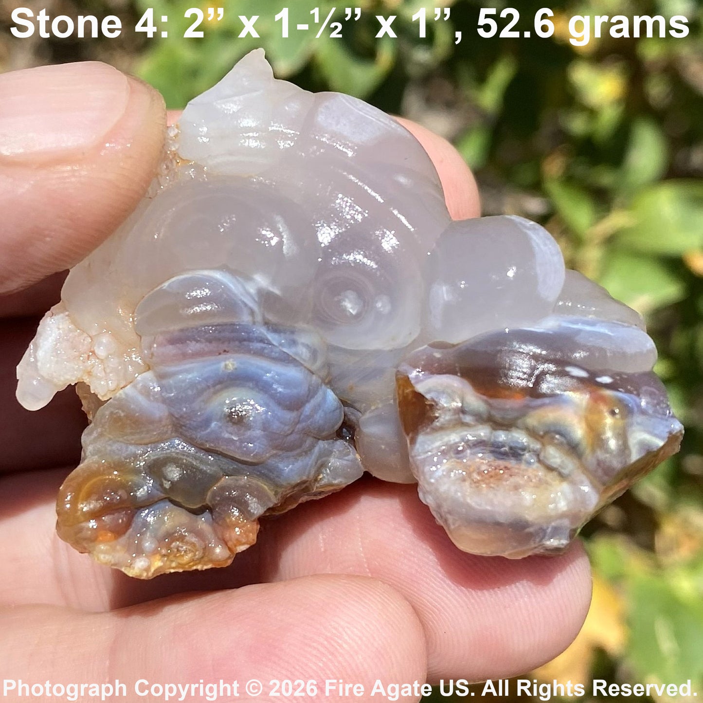 A hand holds a piece of Slaughter Mountain Arizona fire agate rough labeled 'Stone 4: 2" x 1-1/2" x 1"', 52.6 grams' at the top, with outdoor green foliage blurred in the background.