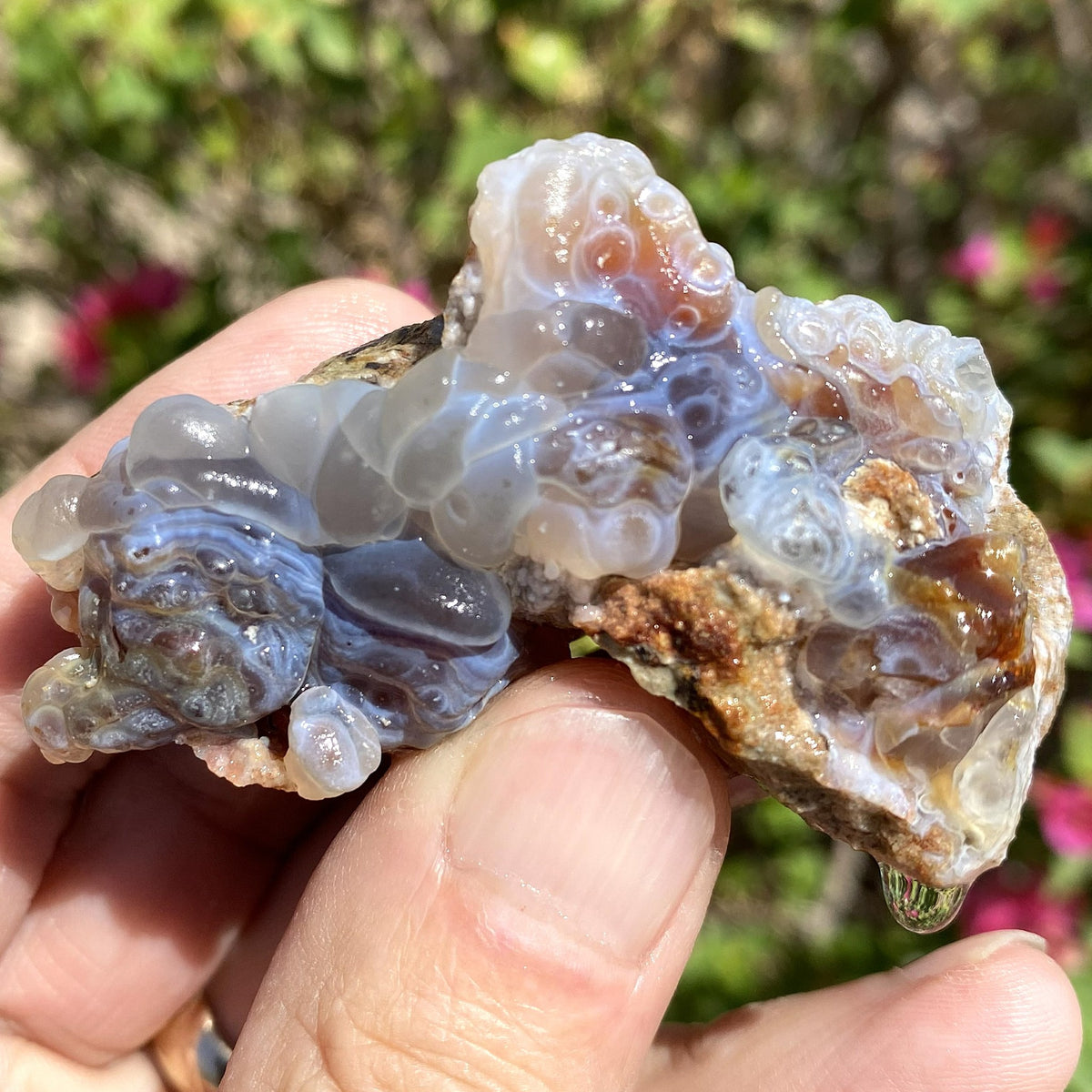 A close-up of a person's hand holding a piece of fire agate crystal formation with translucent blue, gray, and white bubbled patterns over a brown matrix, with a blurred green garden background.