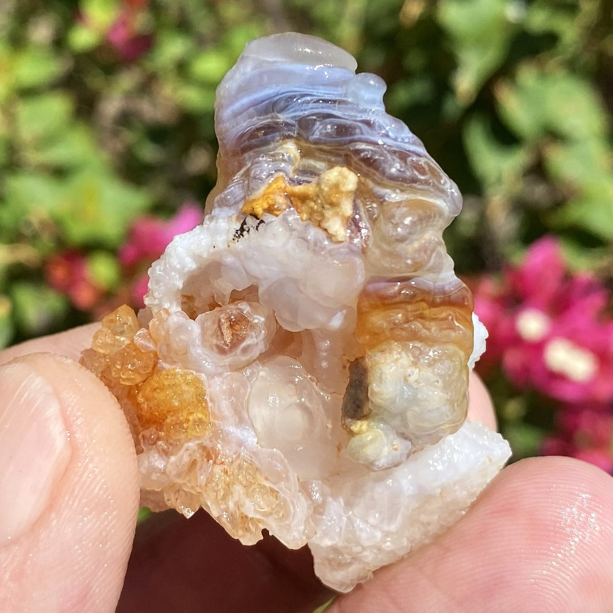 A hand holding a raw fire agate stone specimen with translucent white, smoky gray, and amber-brown sections, photographed outdoors with blurred green foliage and pink flowers in the background.
