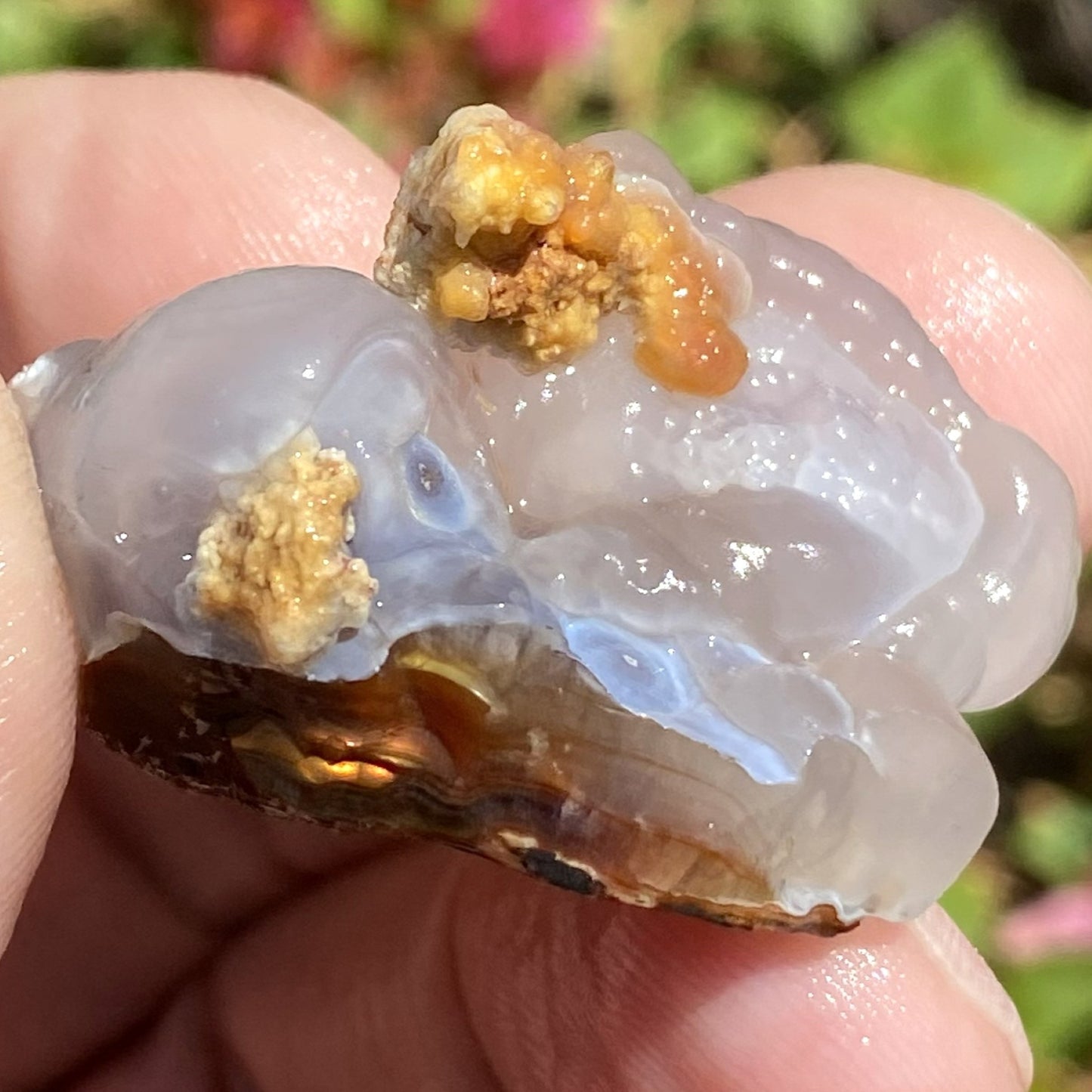 A close-up of a hand holding a translucent pale fire agate rough stone or mineral specimen with small orange-brown inclusions and a darker brown base, against a blurred outdoor background.