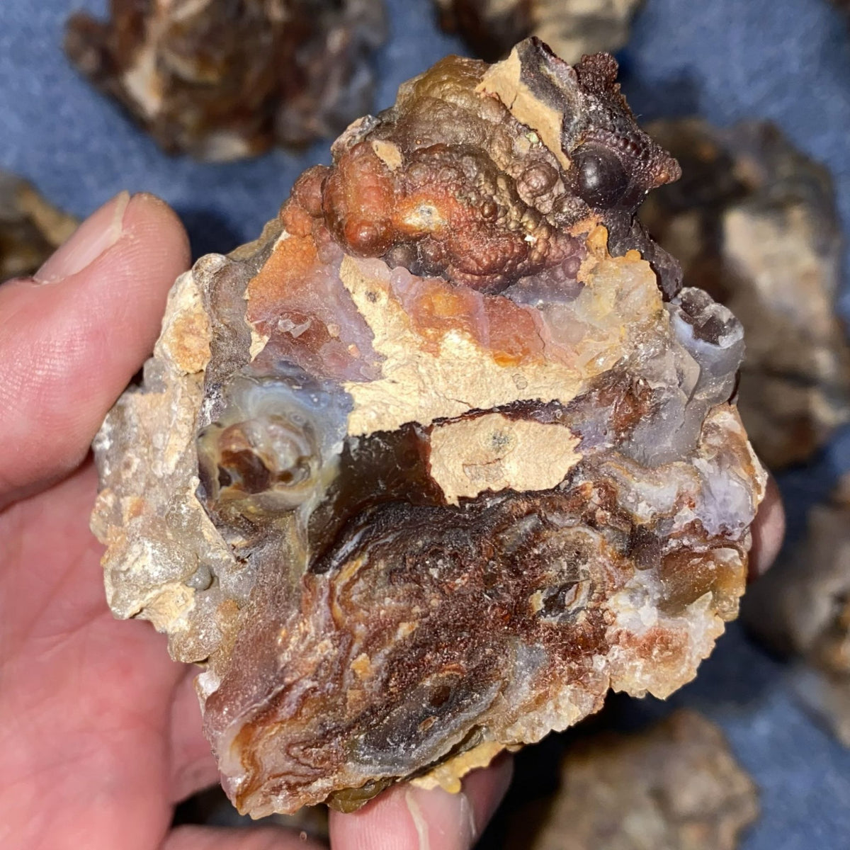 A hand holding a rough fire agate stone specimen with layered bands of brown, amber, gray, and translucent milky white, with other rough stones blurred in the background.