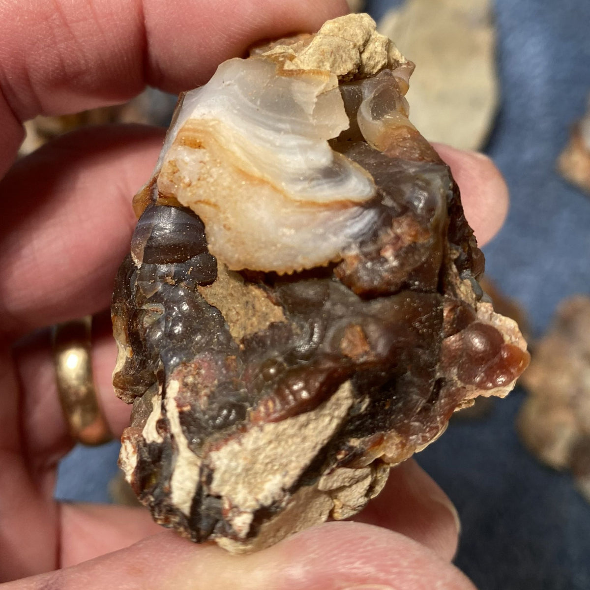A hand holding a rough natural fire agate stone specimen with a mix of dark brown, cream, and translucent milky white sections, shown against a blue textured background with other stones blurred.