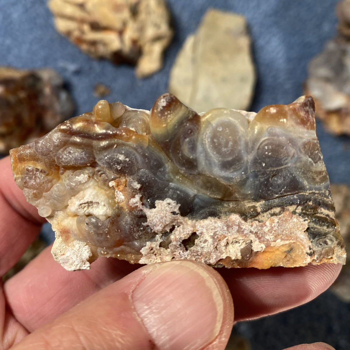 A hand holding a raw fire agate mineral specimen with banded patterns of brown, gray, and white, set against a background of other loose stones on a blue surface.
