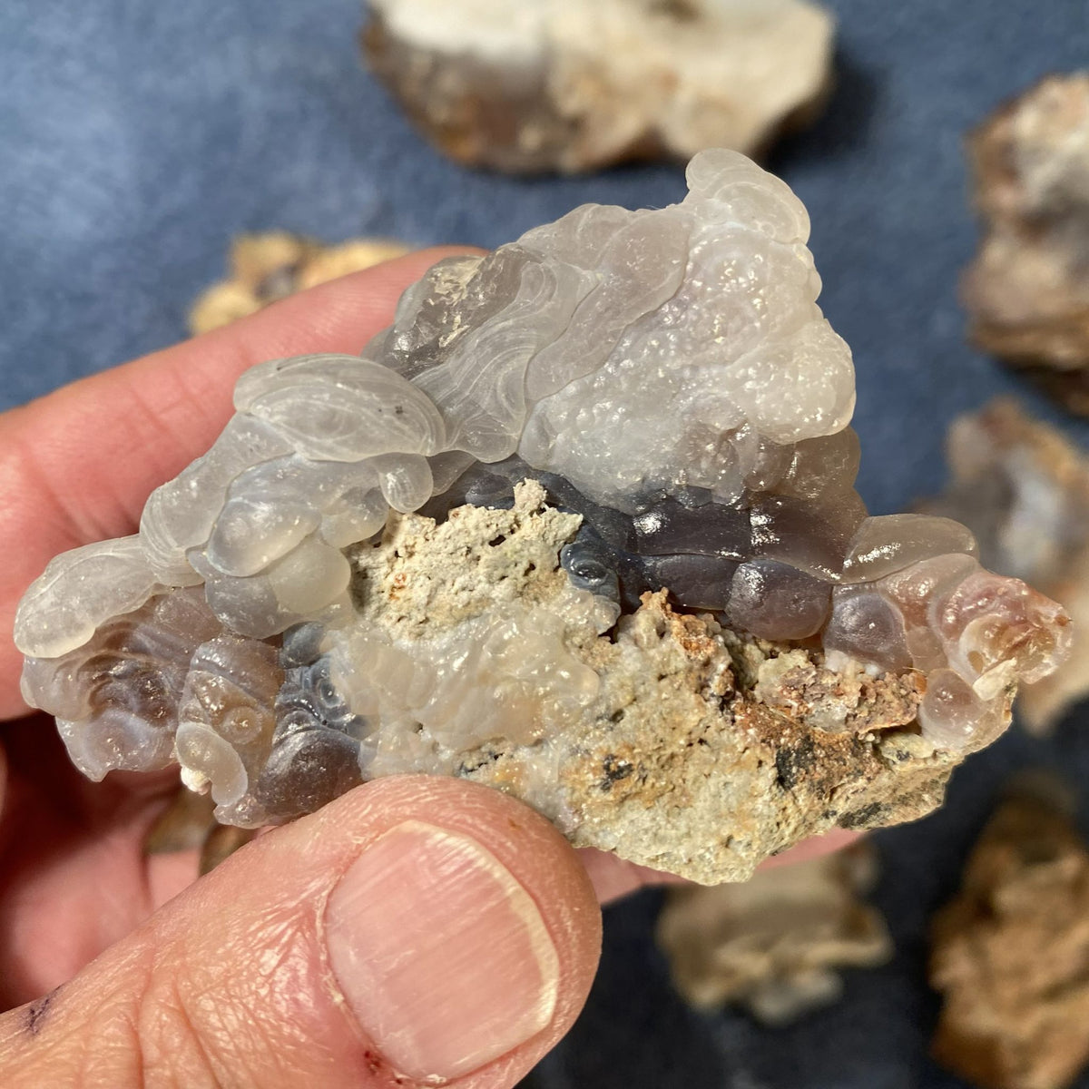 A hand holding a translucent pale gray and white fire agate with a rough beige matrix, photographed close up against a dark blue background with other rocks blurred in the distance.