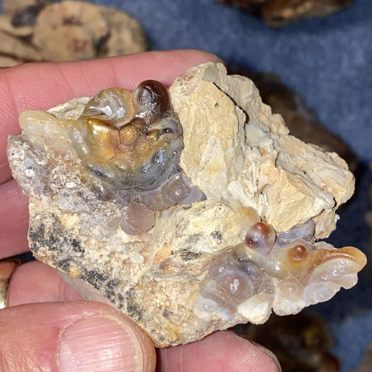 A hand holding a natural fire agate specimen with translucent amber-brown and milky white gemstone-like formations set in a beige and gray crystalline matrix, against a dark blue background.